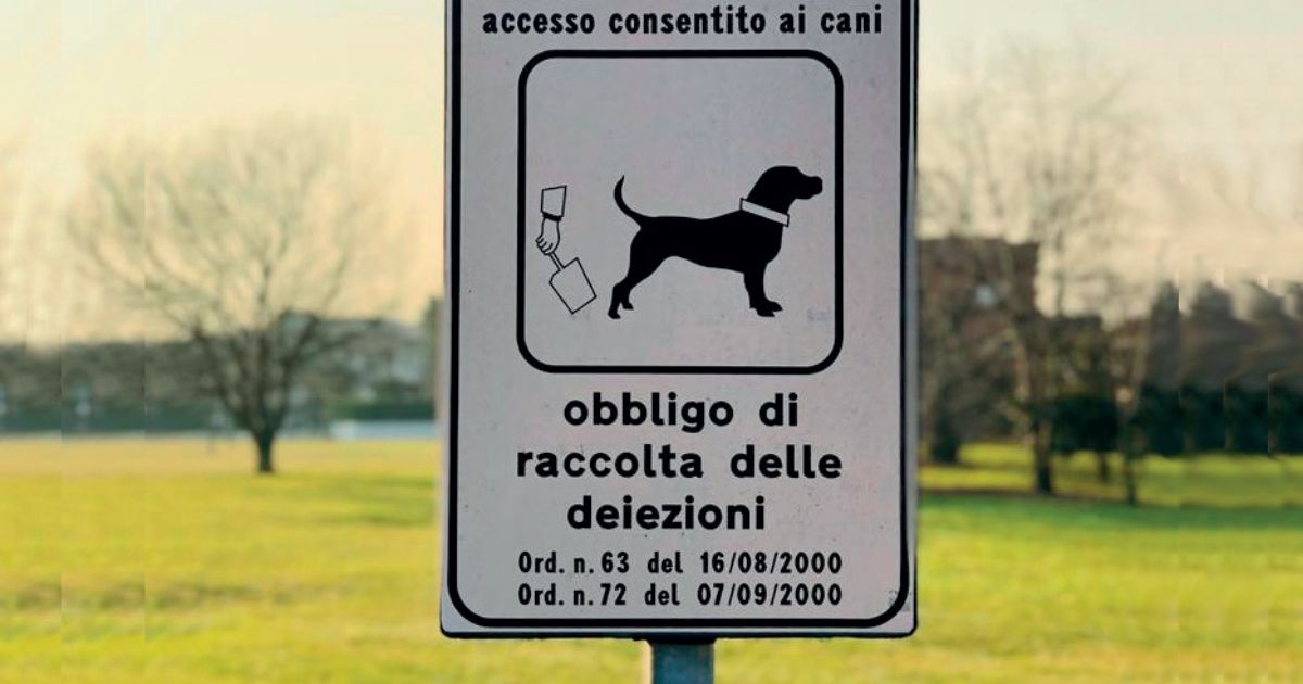 area cani